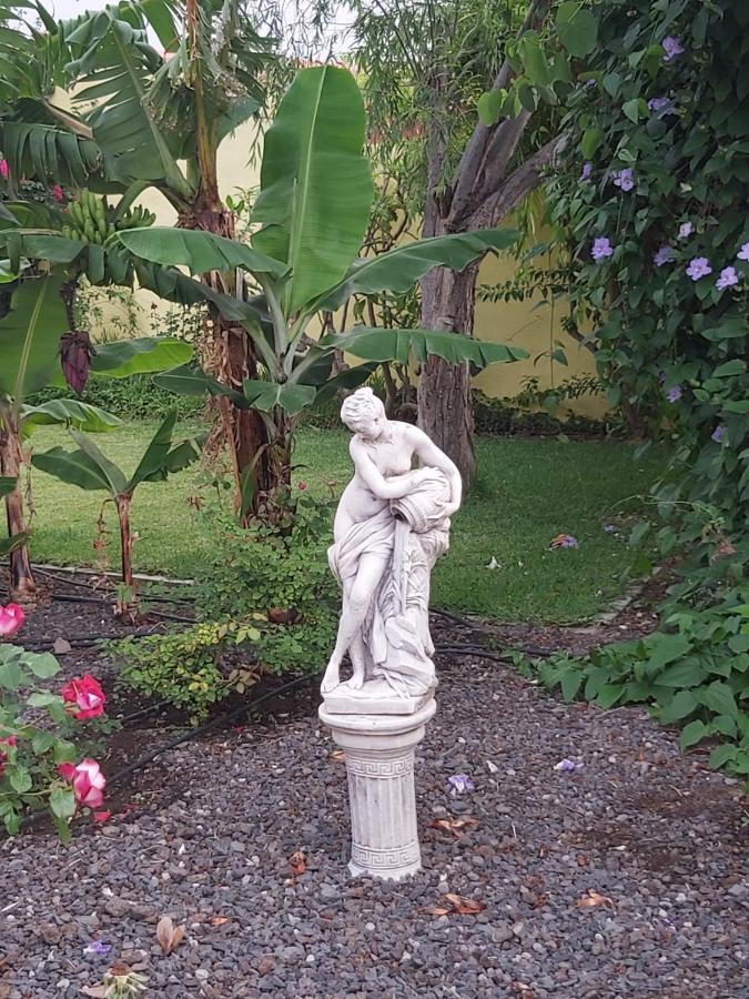 Mi Jardin Villa Frontera Exteriör bild