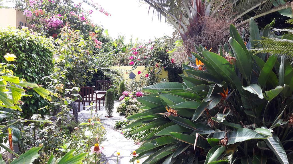 Mi Jardin Villa Frontera Exteriör bild