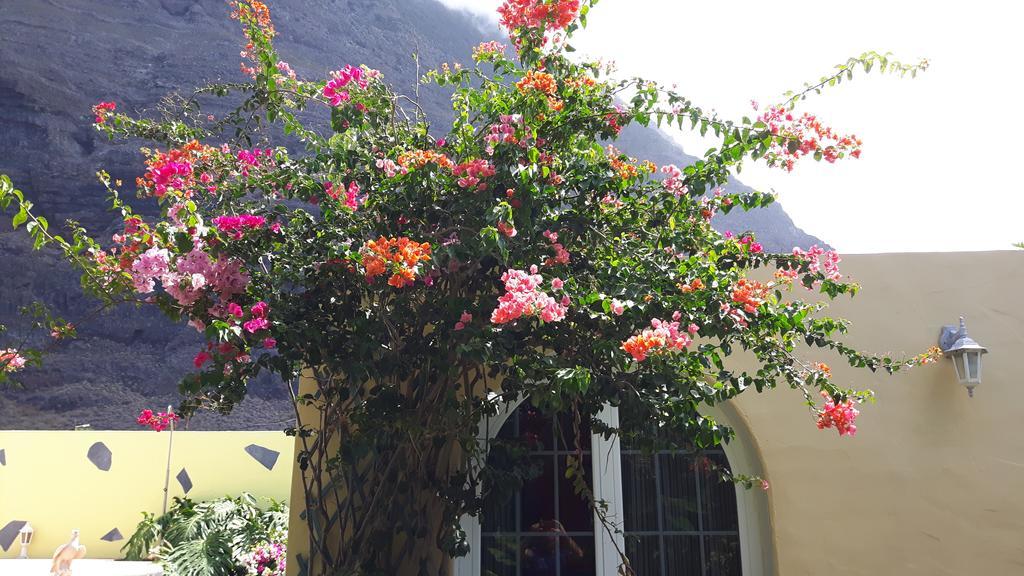 Mi Jardin Villa Frontera Exteriör bild