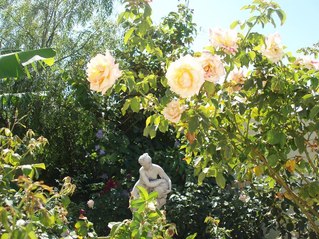 Mi Jardin Villa Frontera Exteriör bild